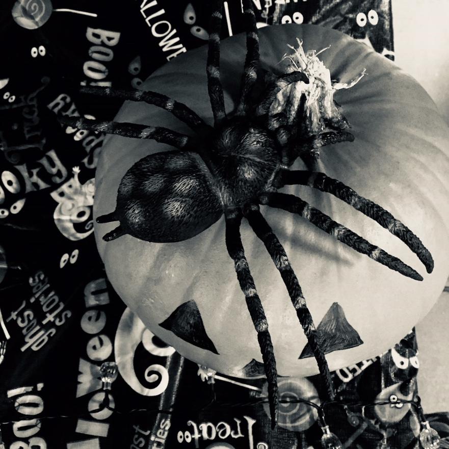 Halloween 2 