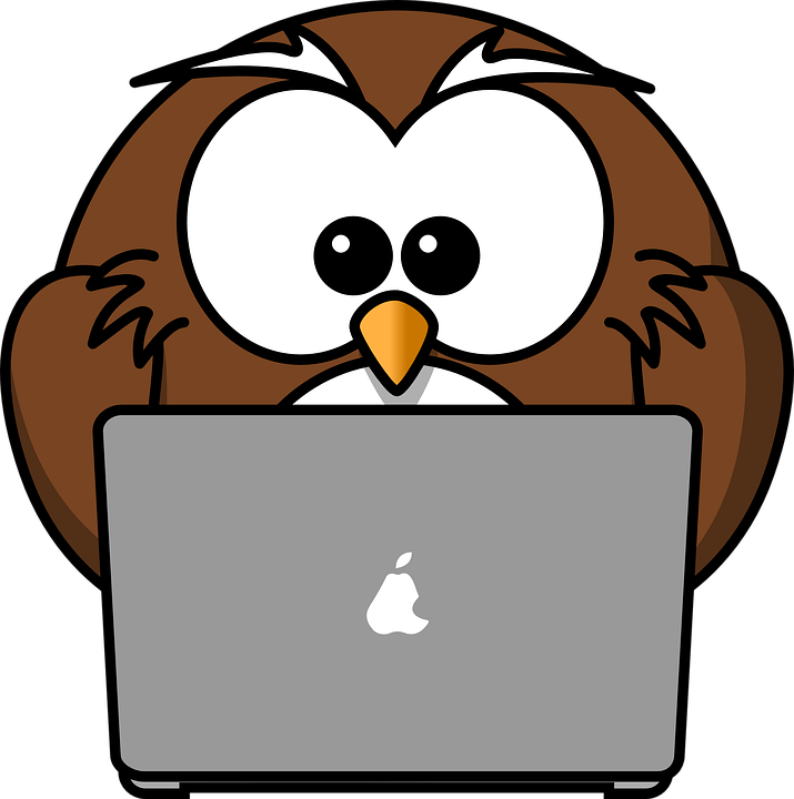 owl-158414 960 720